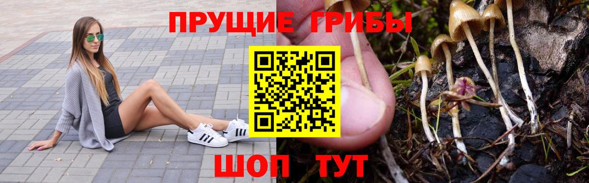 Галлюциногенные грибы GOLDEN TEACHER  Псилоцибиновые грибы ЛСД  Вход с VPN  Дзержинск 